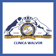 San Walvor